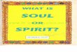 What is Soul or Spirit