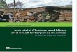 Industrial Clusters and Micro and Small Enterprise in Africa