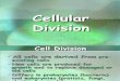 ( GENETICS ) Cell Cycle & Cell Division