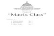Matrix Class Project Final Report