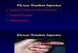 Flexor Tendon Injuries2