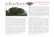 ekeko_2 (english | italiano) ...of a development cooperation project in Bolivia