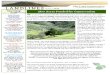 Fall 2010 Landlines Newsletter ~ Land Conservancy of San Luis Obispo County