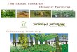 Ten Steps Towards Oreganic Farming