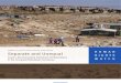 HRW Report Dec19-10 [Separate and Unequal -- Israel’s Discriminatory Treatment of Palestinians in the Occupied Palestinian Territories]