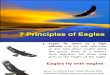 7 Principles of Eagles