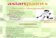 Asian Paints Actual 2003