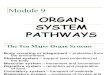 Organ System Nat Sci2