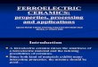 2B1750 06 Ferroelectric Ceramics