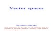 Vector Spaces Lect