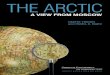 The Arctic: A View From Moscow
