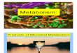 Metabolism & Fuel Growth 6
