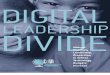 Grunwald Survey: Digital Leadership Divide