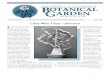 Winter 2003 Botanical Garden University of California Berkeley Newsletter
