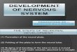 Development of Nervous System-hem