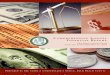 Palm Beach County's 2009 Comprehensive Annual Financial Report