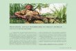 Child Warriors of West Africa
