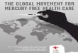 The Global Movement for Mercury-Free Health Care
