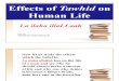 EFFECTS OF TAWHID ON HUMAN LIFE