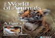 World of Animals - Issue 3 "A Tiger's Tale"