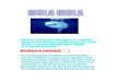 The Ocean Sunfish, Mola Mola, Or Common