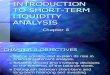 Introduction to Short-term Liquidity Analysis