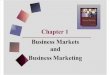 Business Markets and Business Marketing Chapter1.PP