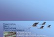 Remote Bird Sensing Technologies Presentation