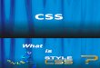 Css Beginers New