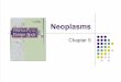 Chapter 5 Neoplasms Hybrid 2009