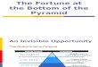 Oppurtunities at Bottom Of Pyramid