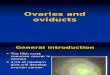 The Ovaries and Oviducts