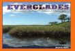 Everglades An Ecosystem Facing Choices and Challenges by Anne Ake
