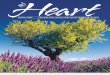 Heart Magazine, Summer 2004