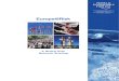 Europe @ Risk Report 2008