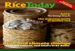Rice Today Volume 6 number 3