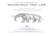 Michilogic time line