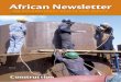 African Newsletter 3/2013, Construction