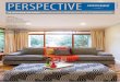 Perspective Issue 19