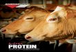 April 2015 Protein Sire Directory