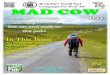 Mad Cow Issue 39