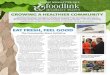 Foodlink Spring newsletter 2015
