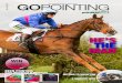 Go Pointing | 29 April 2015