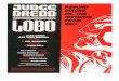 DC : Judge Dredd vs Lobo