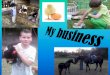 My Business - Karcsi