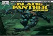 Marvel Knights : Black Panther 2099 (2004) - 001