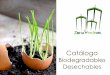 Catalogo biodegradables desechables