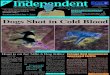 Namib Independent Issue 157