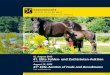 41. Elite Fohlen- und Zuchtstuten-Auktion - 41st Elite-Auction of Foals and Broodmares