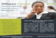 Willapps limited, website development and maintenance client information pack 2015
